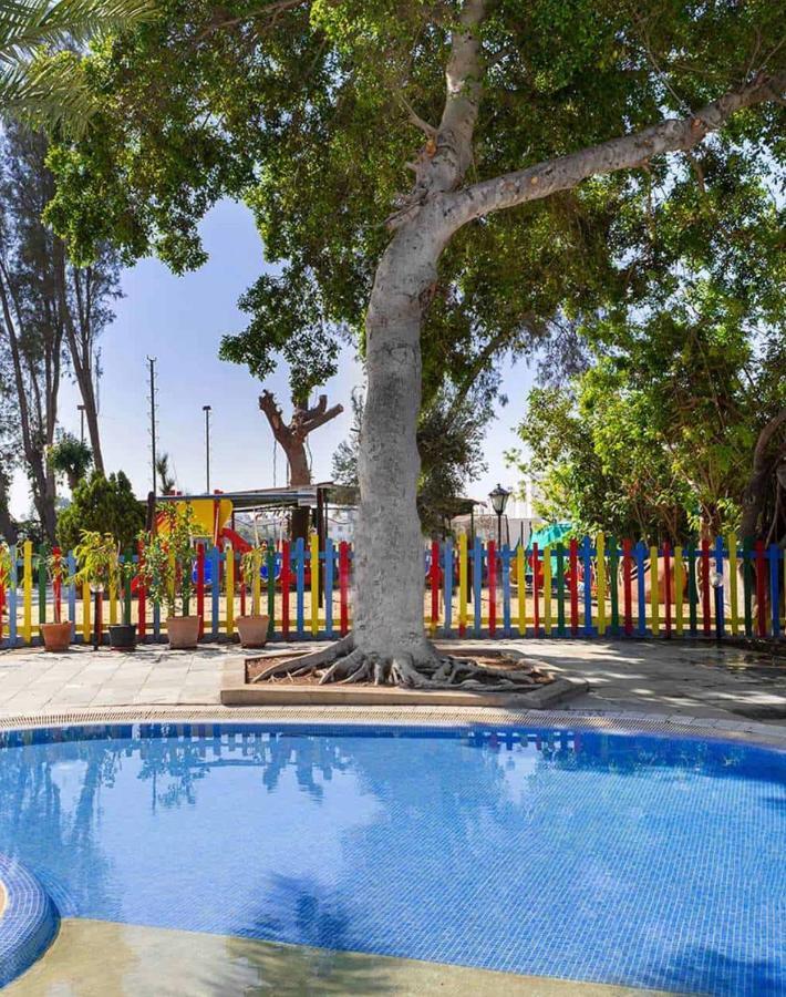 Dream Studio270M From The Beach Paphos Exterior foto